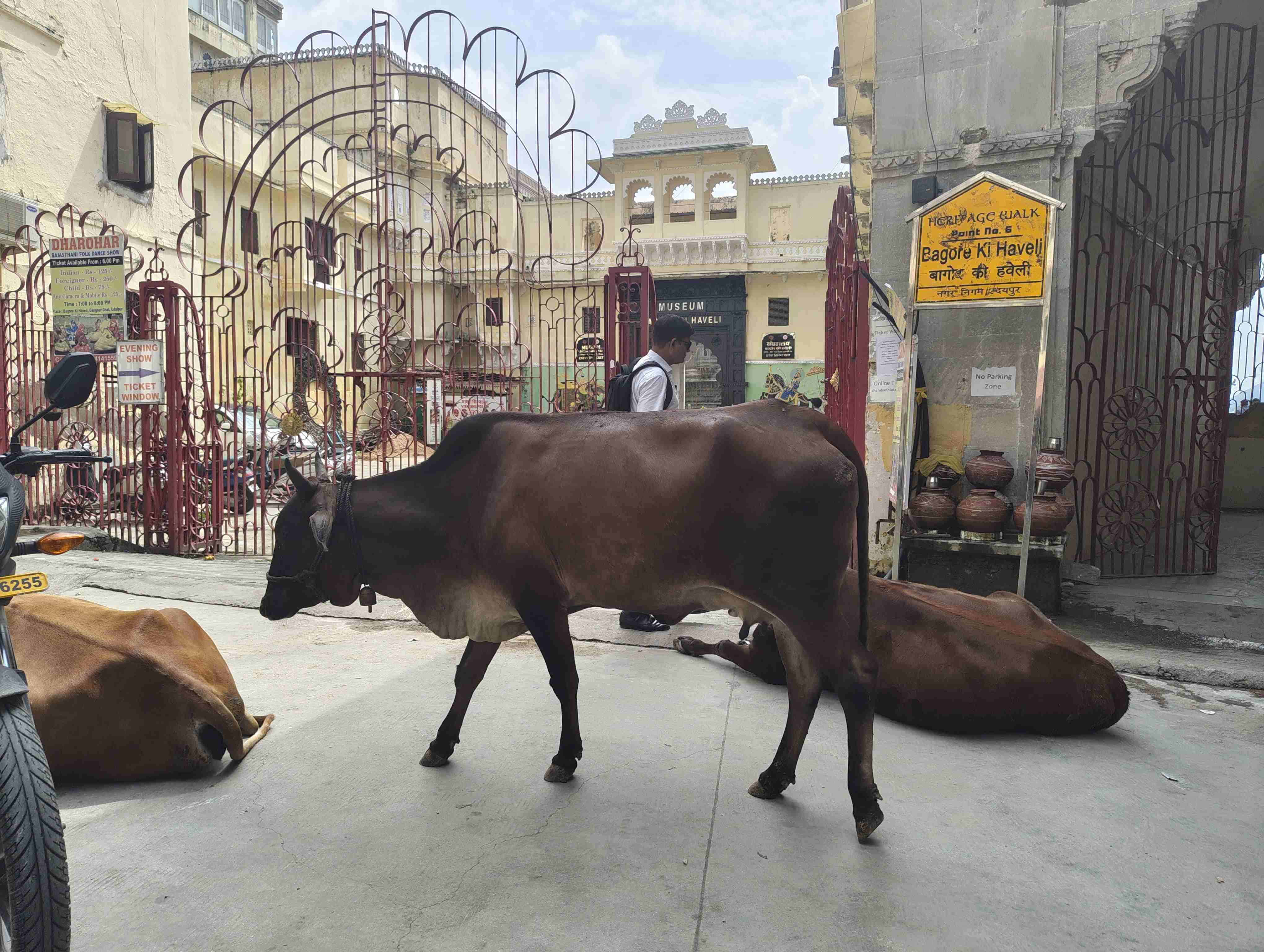 Bagore Ki Haveli ft. Bovine. Udaipur &lsquo;25