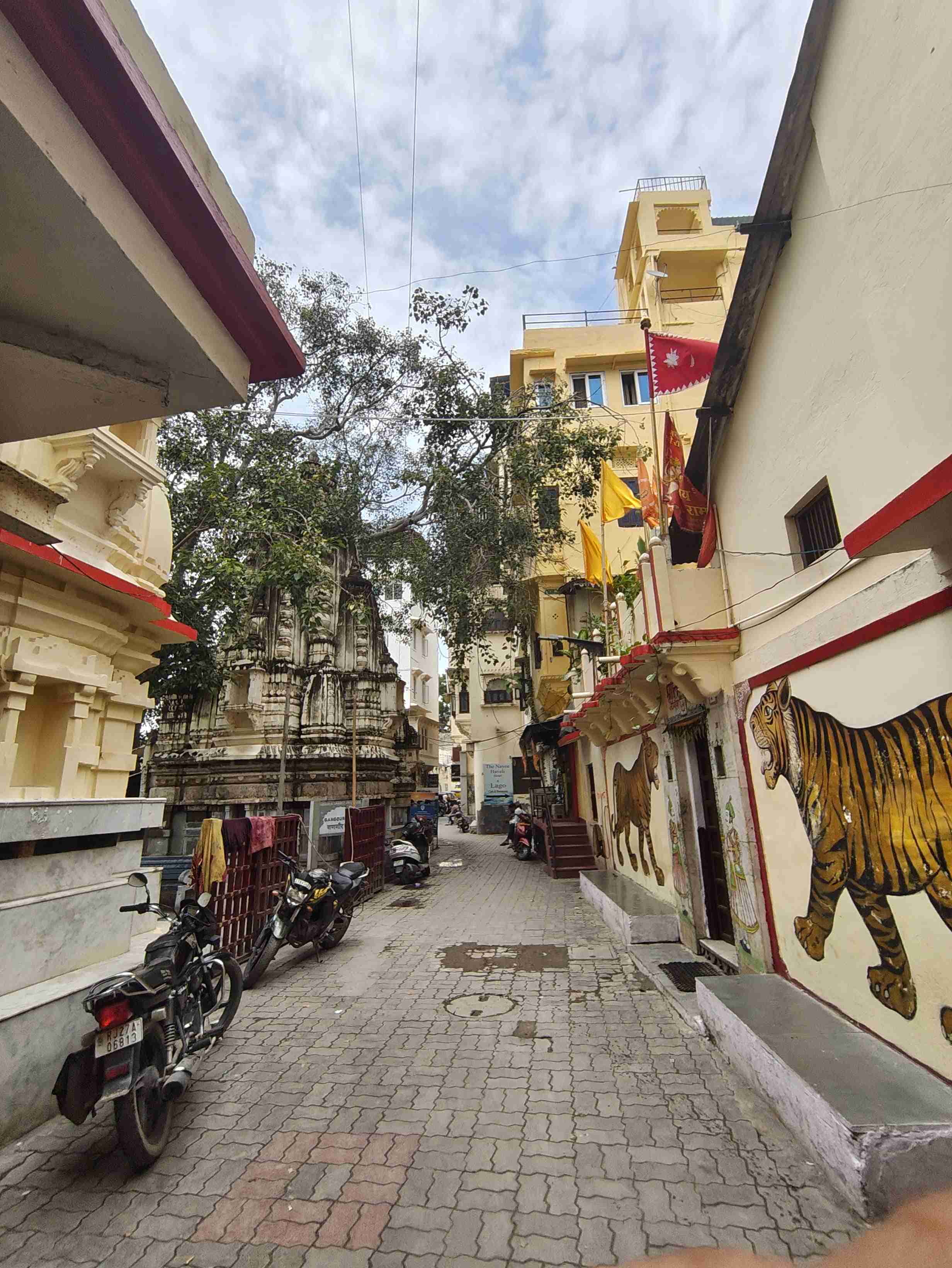 Through the Lanes of The City. Udaipur &lsquo;25