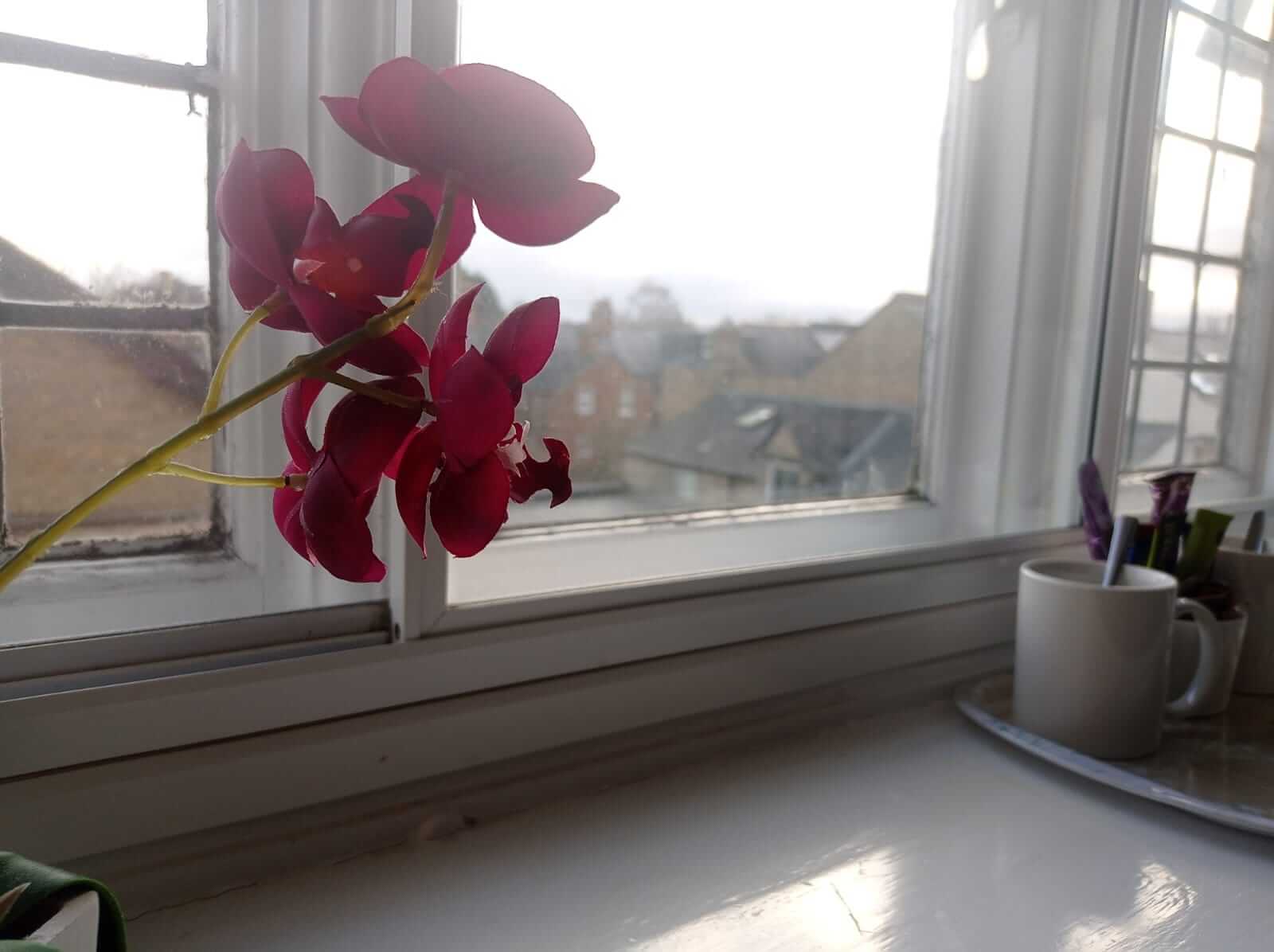 Outside the window, 22nd December, 2023